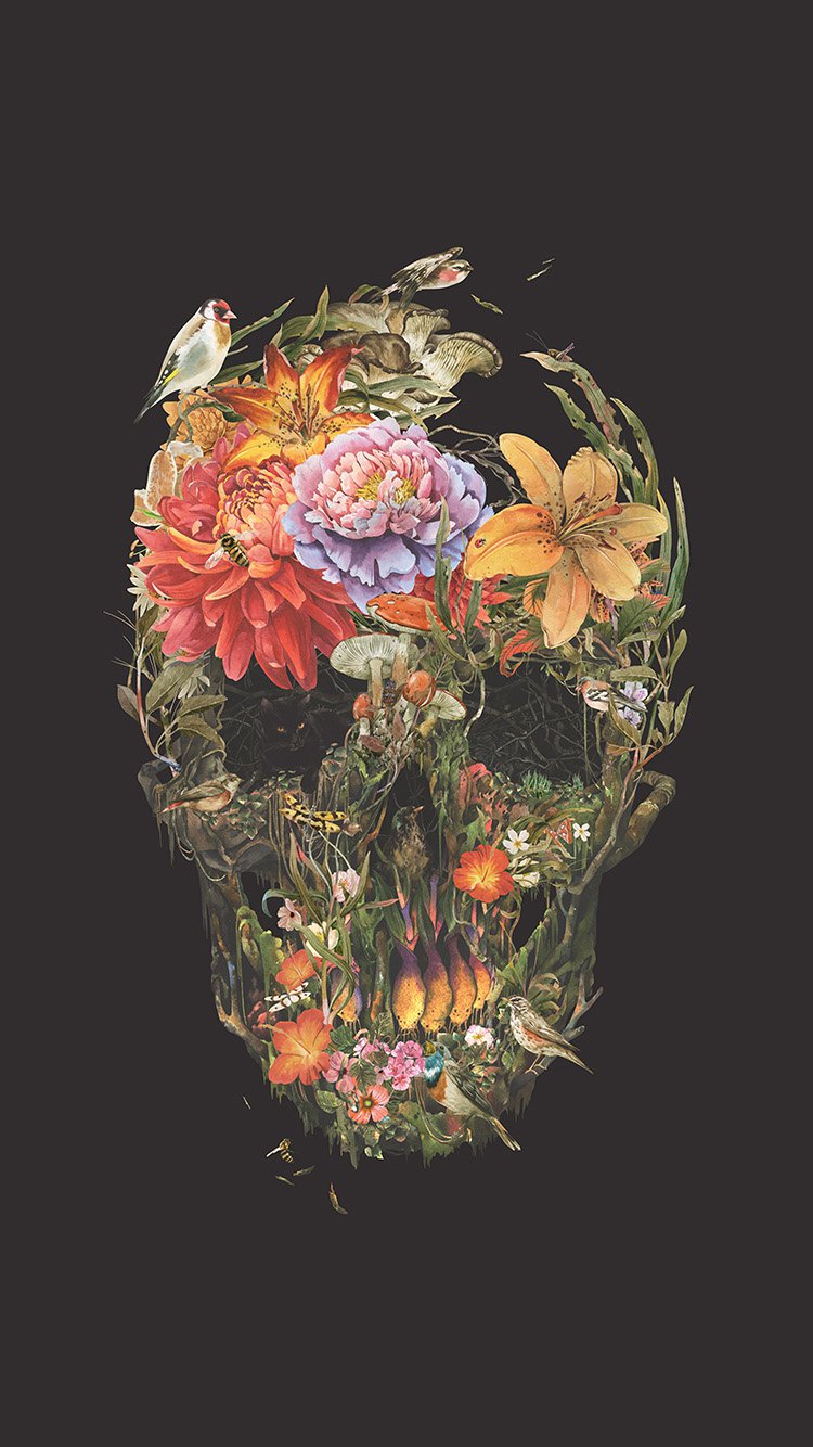 Skull Art Wallpaper Iphone 6