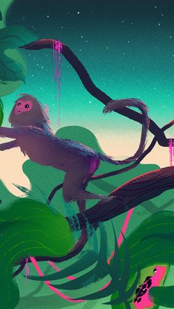 bj74-art-jungle-monkey-animal-illust-green