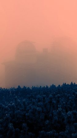 bl28-art-wood-fog-blue-simple