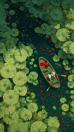 Art Boat Lotus Koi Topdown Pond