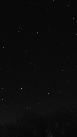 nc27-night-sky-dark-star-lights-tree-nature-bw-dark
