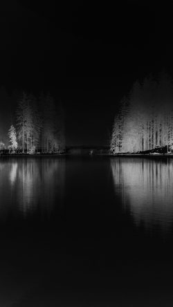 nk07-winter-lake-white-bw-dark-wood-nature-fog