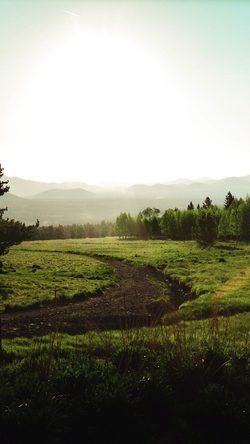 nl10-land-green-nature-forest-road-peace-calm