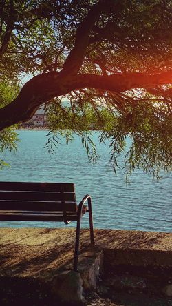 nl19-summer-lake-view-tree-sunshine-nature-chair-flare