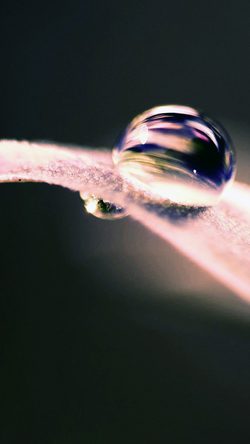 nl25-green-leaf-nature-droplet