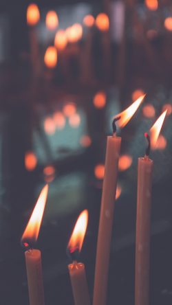 Bokeh Candle Light Nature Blue