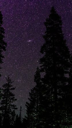 Space Sky Night Star Nature Purple