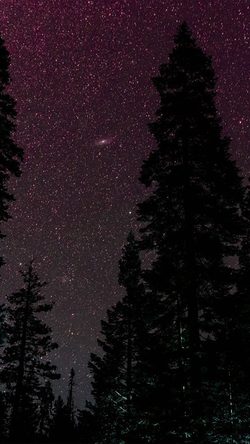 Space Sky Night Star Nature Red