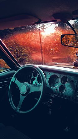 Car Drive Forest Light Nature Red
