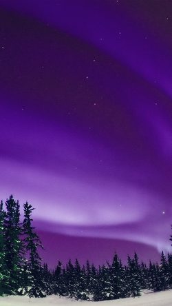 Aurora Purple Night Sky Space Nature Winter