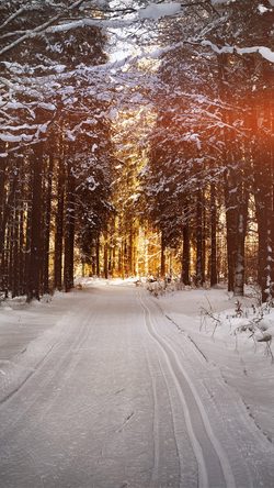 Snow Street Mountain Light Winter Nature Flare
