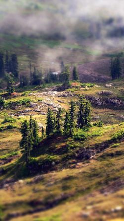 Mountain Country Spring Forest Nature