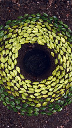 Leaf Art Land Green Nature Flower Circle