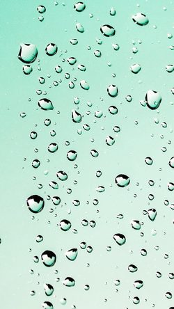 Rain Drop Water Nature Green