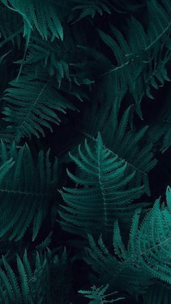 Green Leaf Dark Nature Blue