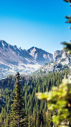 Nature Mountain Green Tree Snow