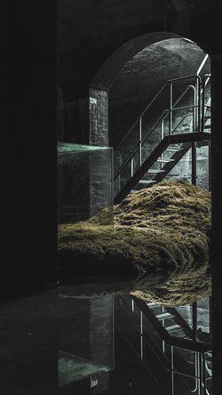 Nature Green Underground Dark