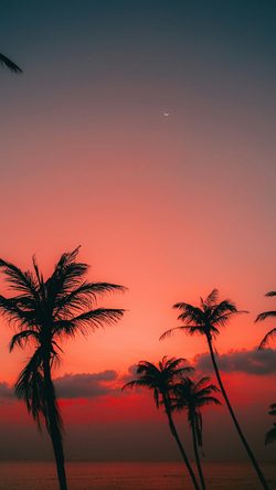 Nature Llxvisuals Unsplash Sea Sky Sunset Red