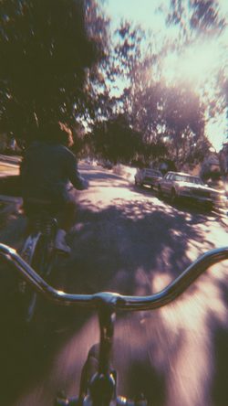 Blur Home Video Style First Person Bicycle Ride Motion Vintage Street Sunlit Firstperson