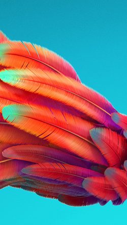 vz56-bird-color-rainbow-red-pattern-background-feather