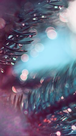 Pattern Background Bokeh Feather Color