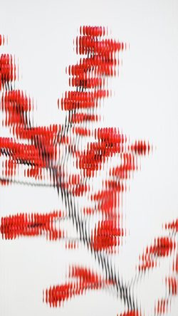 Pattern Background Abstract Red Blur Line Minimal Art
